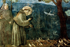 Saint Francis